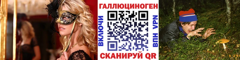 Галлюциногенные грибы Psilocybe  Купить где  Большой Камень 
