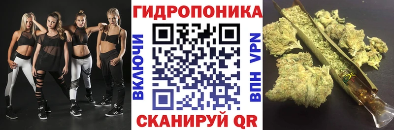 Купить где  Большой Камень  Бошки марихуана MAZAR 